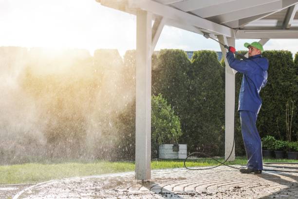 Professional Pressure Washing Services in Hartselle, AL